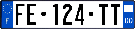 FE-124-TT