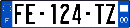 FE-124-TZ
