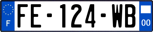 FE-124-WB