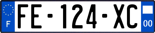FE-124-XC
