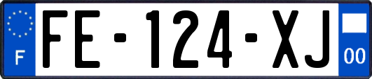 FE-124-XJ
