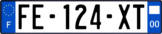 FE-124-XT
