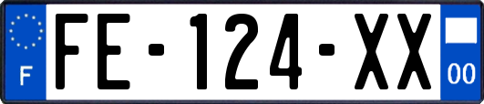 FE-124-XX