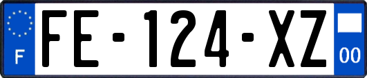 FE-124-XZ