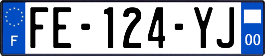 FE-124-YJ