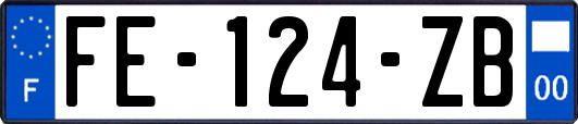 FE-124-ZB