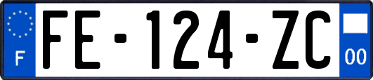 FE-124-ZC