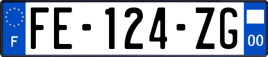 FE-124-ZG