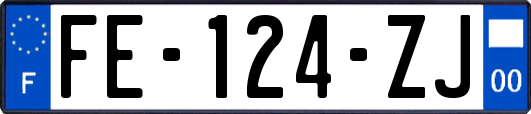 FE-124-ZJ