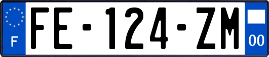 FE-124-ZM