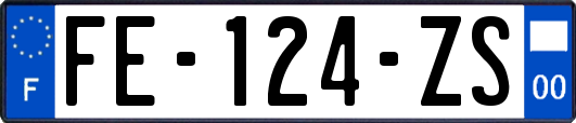 FE-124-ZS