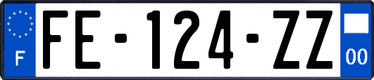 FE-124-ZZ