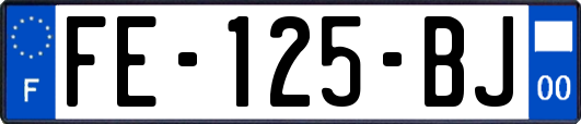 FE-125-BJ