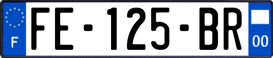 FE-125-BR