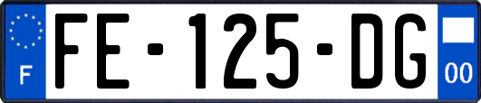 FE-125-DG