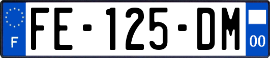 FE-125-DM