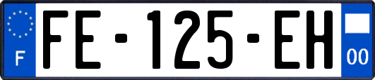FE-125-EH
