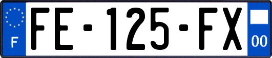 FE-125-FX