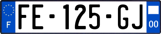 FE-125-GJ