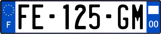 FE-125-GM