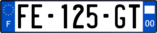 FE-125-GT