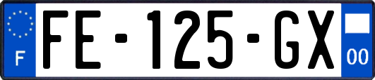 FE-125-GX