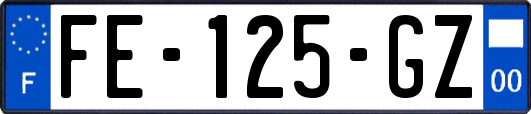 FE-125-GZ