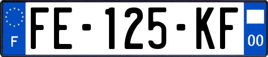 FE-125-KF