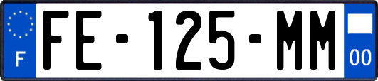 FE-125-MM