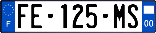 FE-125-MS