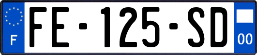 FE-125-SD