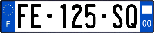 FE-125-SQ