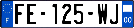 FE-125-WJ