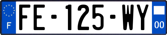 FE-125-WY
