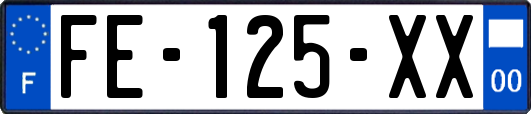 FE-125-XX