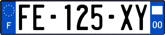 FE-125-XY