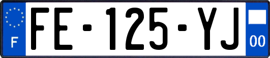 FE-125-YJ