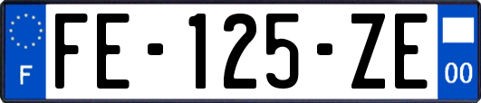 FE-125-ZE