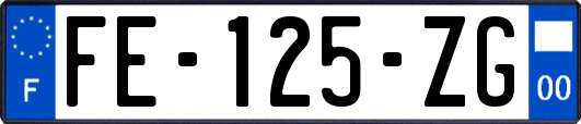 FE-125-ZG
