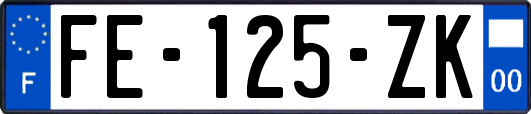 FE-125-ZK