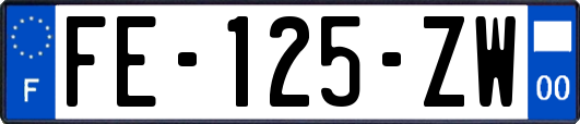 FE-125-ZW