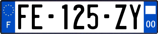 FE-125-ZY
