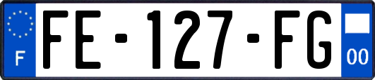 FE-127-FG