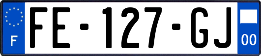 FE-127-GJ