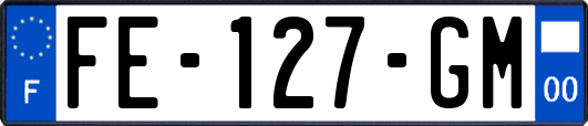 FE-127-GM