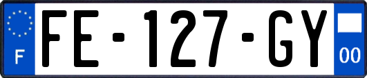 FE-127-GY