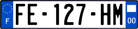 FE-127-HM