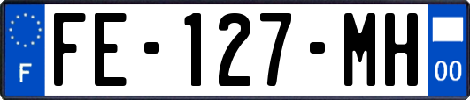 FE-127-MH