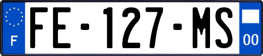 FE-127-MS