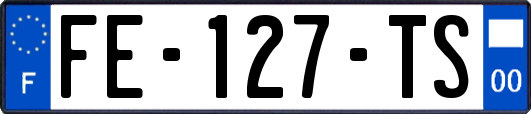 FE-127-TS
